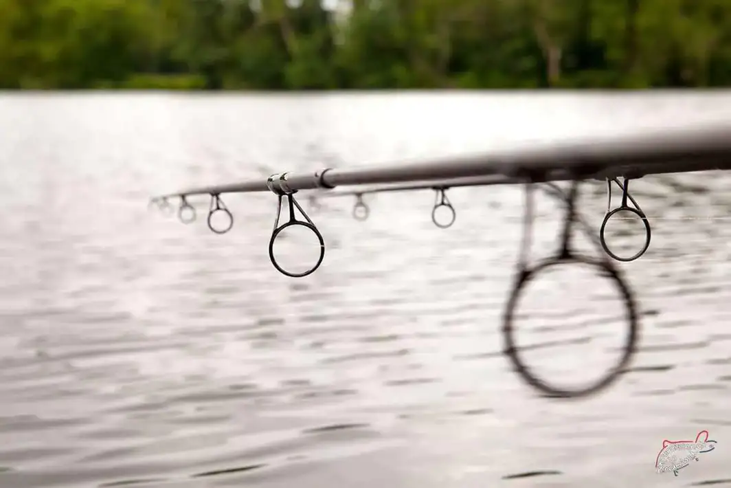 Choosing Carp Rods, which one should I Have?