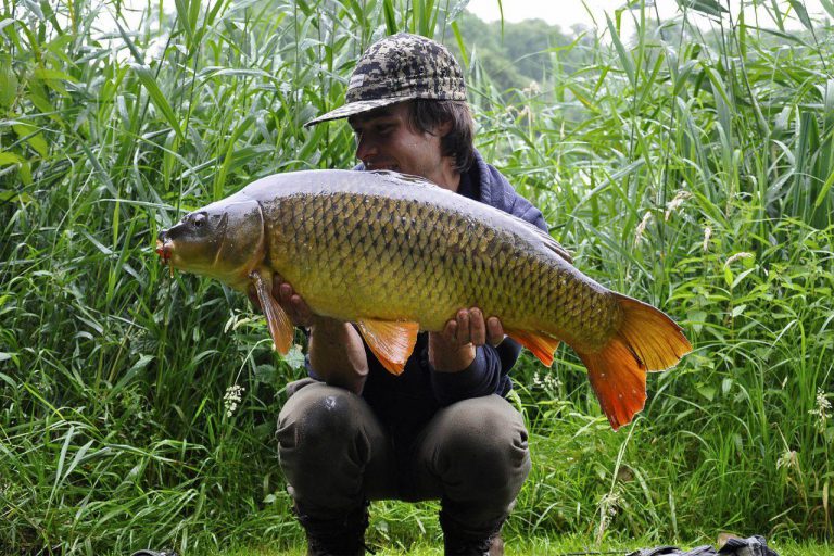 Jordy Kuijper caught a nice pangolin among the reeds