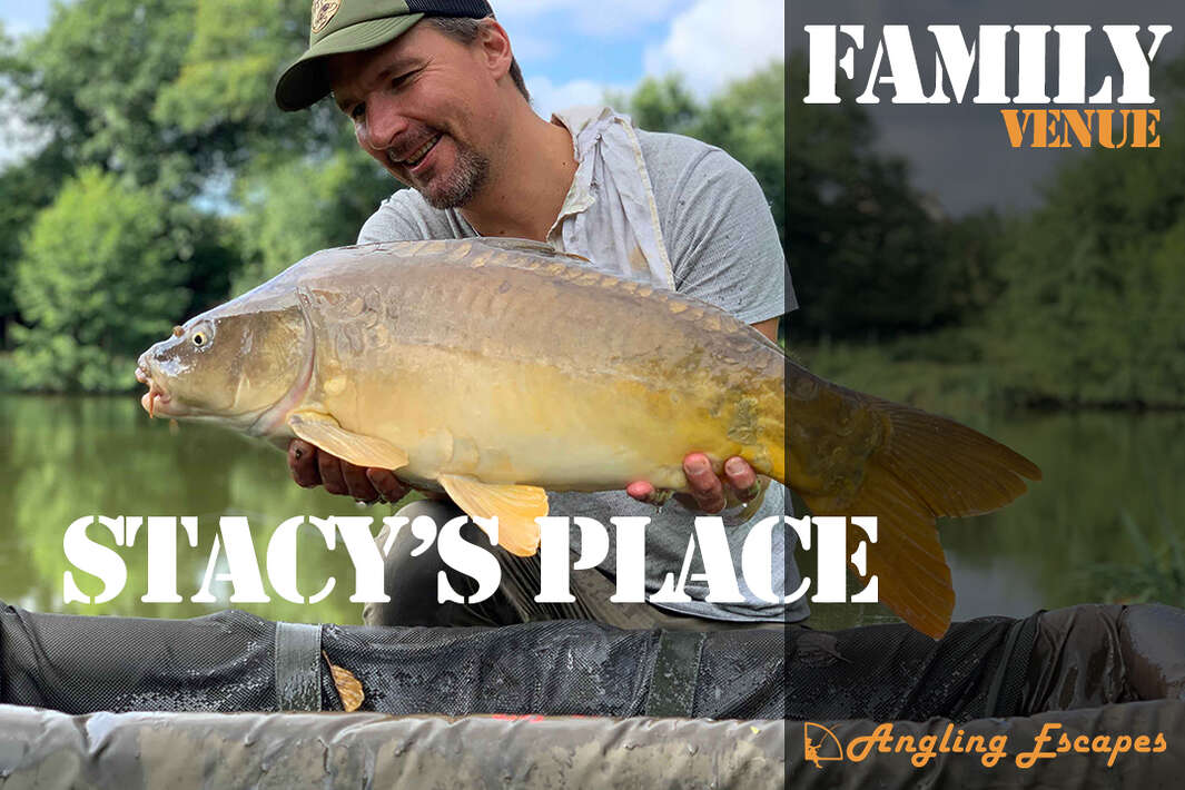 Impression video Stacy’s Place