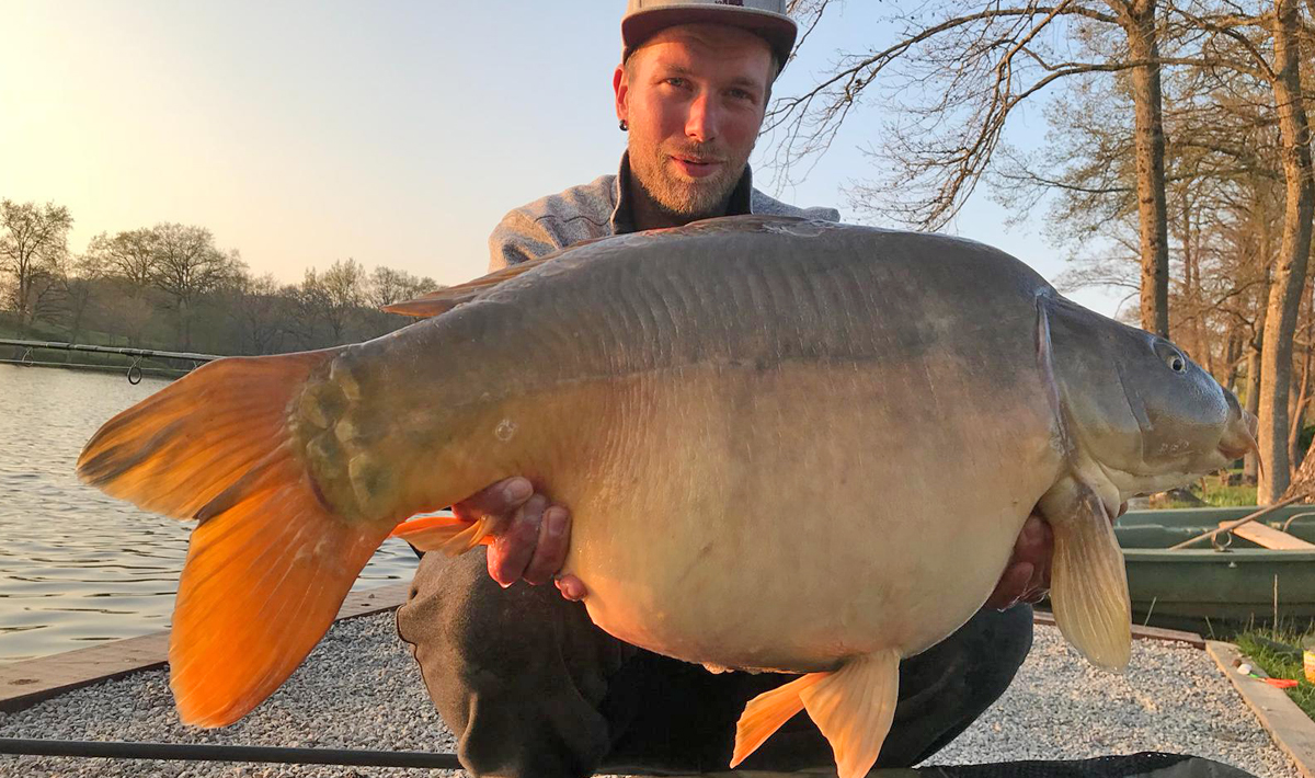 Karper Etang Morlou Visvakantie Frankrijk Karper Visvakantie Frankrijk