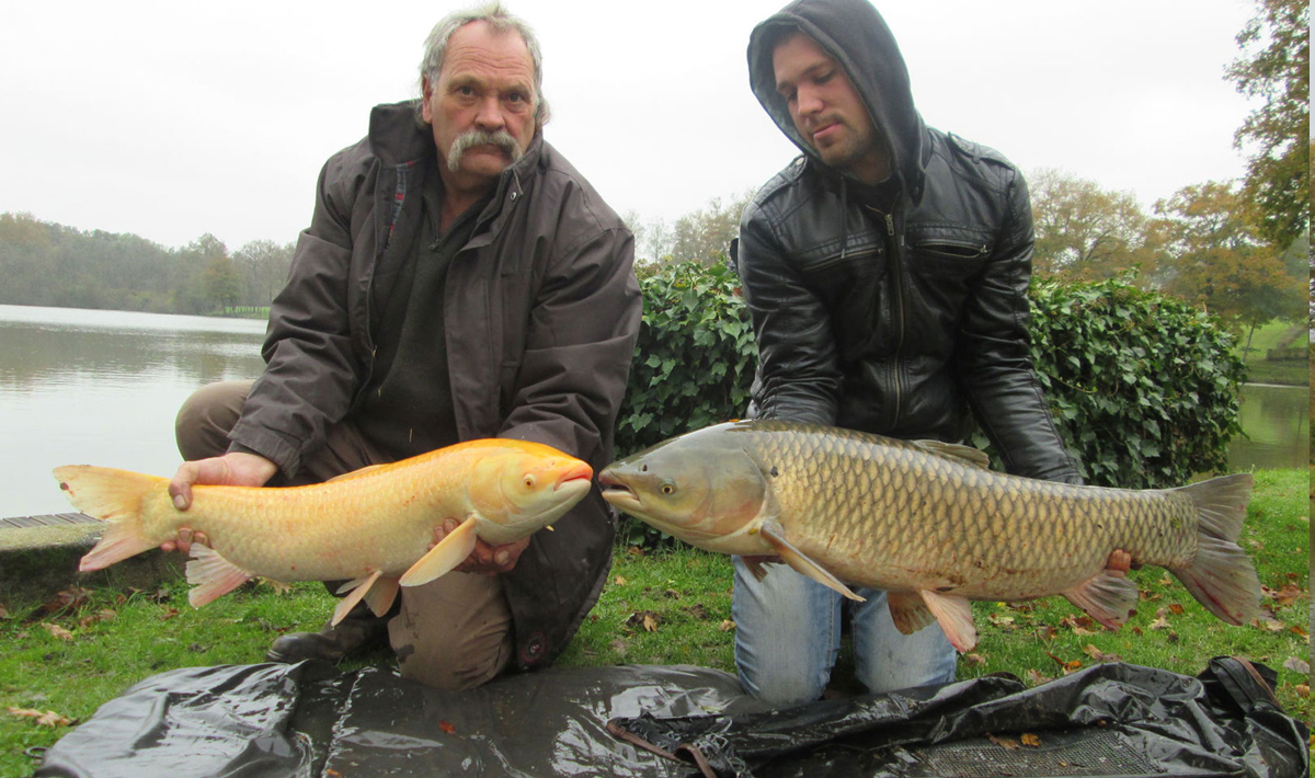 Karper Etang Morlou Visvakantie Frankrijk Karper Visvakantie Accommodatie