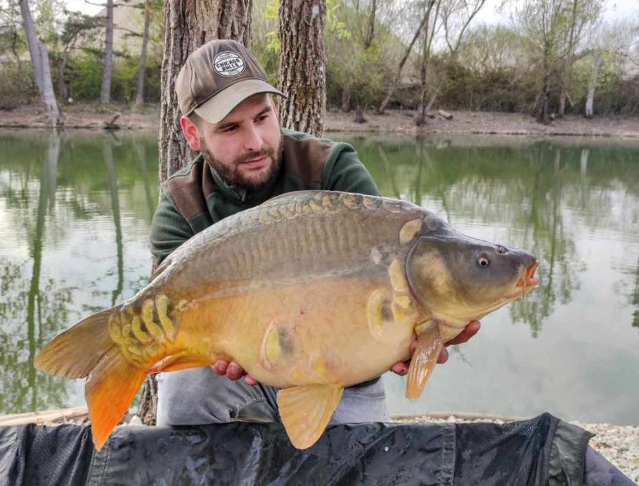 Lanodonte Karpervissen Noord Frankrijk 13 Karpervissen Noord Frankrijk