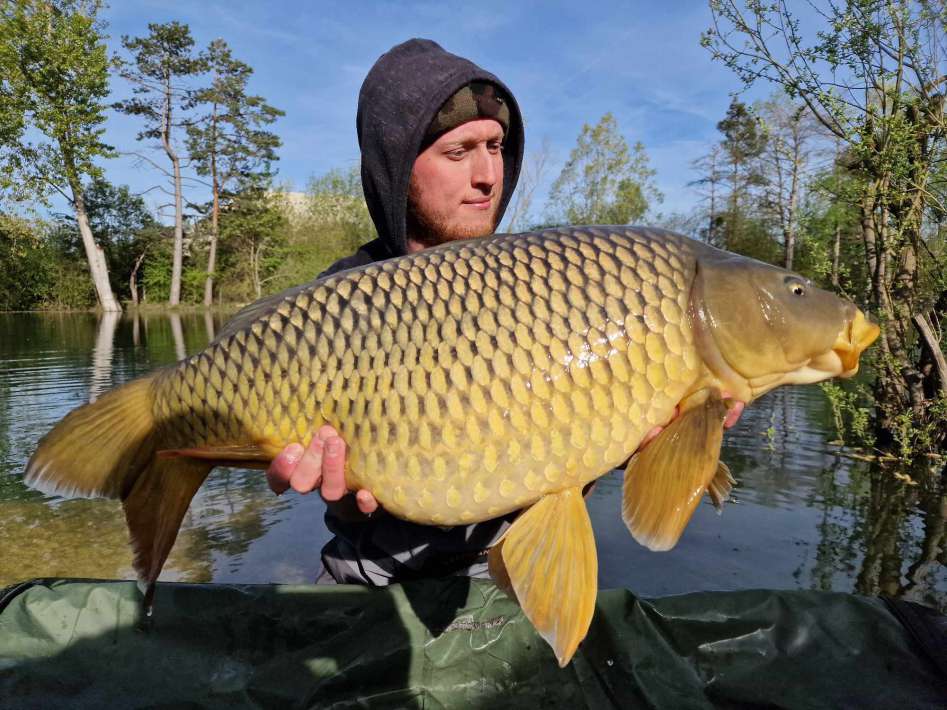 Lanodonte Karpervissen Noord Frankrijk 19 Noord Frankrijk 19