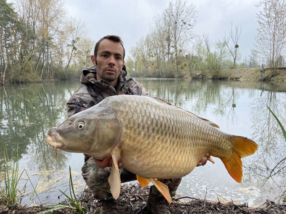 Lanodonte Karpervissen Noord Frankrijk 9 Noord Frankrijk 9