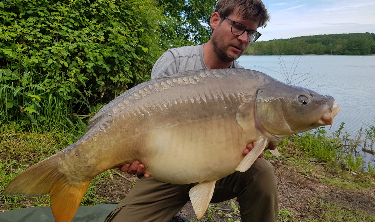 Karper Lac De Lepinet Betaalwater Betaalwater Karpervissen Frankrijk