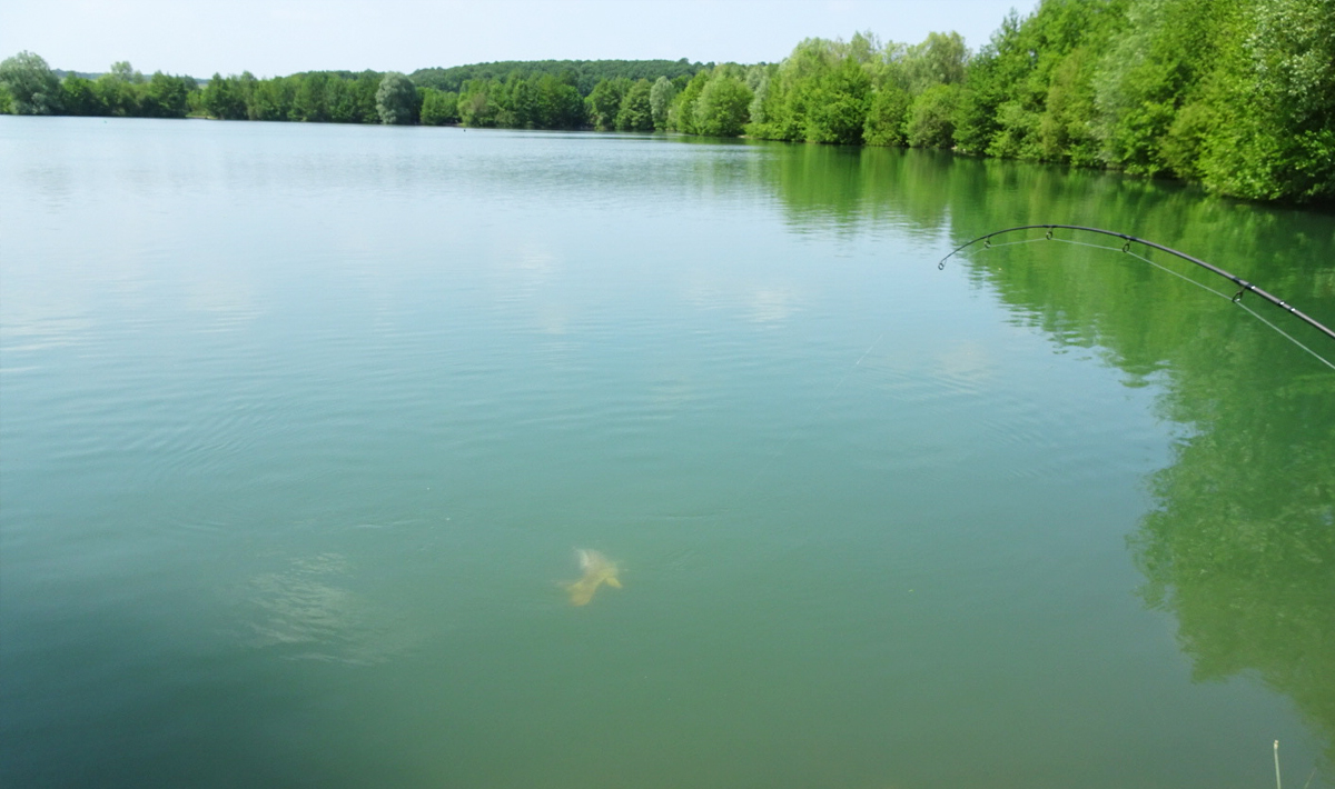 Sfeer Lac De Lepinet Betaalwater Sfeer Lepinet Frankrijk