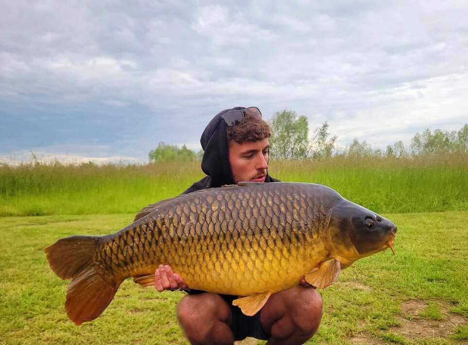 Pegasus Carpfishing Holiday Comon Carp Carpfishing Holiday France