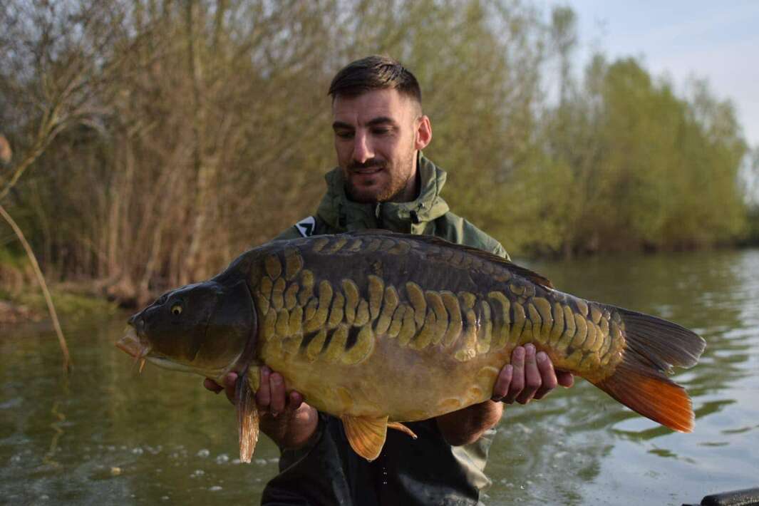 Pegasus Carpfishing Holiday Miror Carp Carpfishing Miror 1