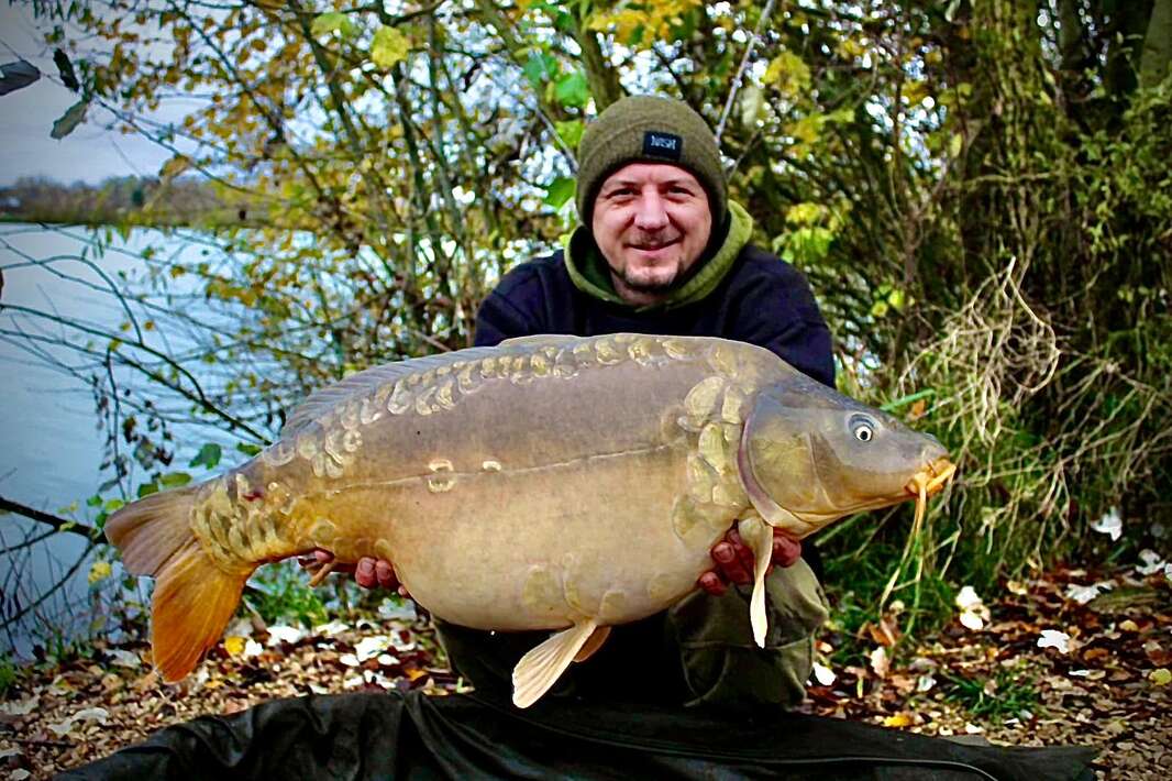 Pegasus Carpfishing Holiday Miror Carp Pegasus Holiday Miror