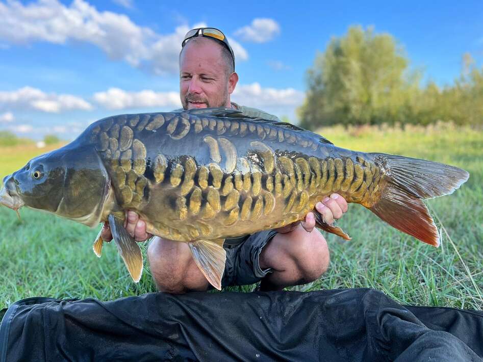 Pegasus Carpfishing Holiday Miror Carp Holiday Miror 3