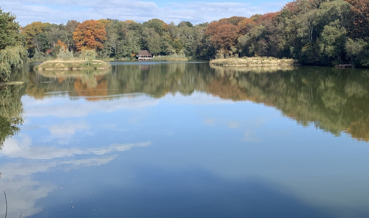 Carpvalley Accommodatie 2 Carpvalley Accommodatie 2