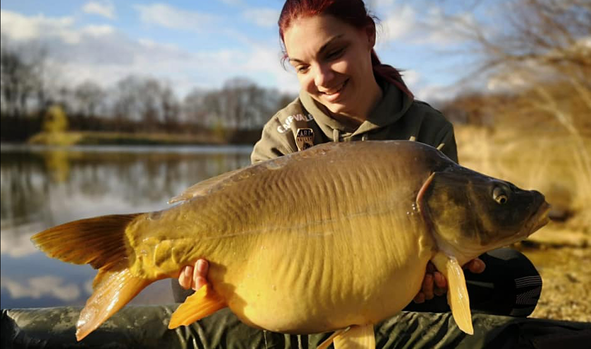 Carpvalley Ad Brak Visvakantie Nederland Carpvalley Ad Brak