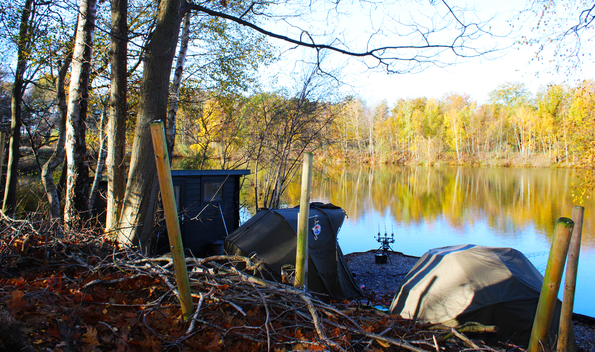 Carpvalley Sfeer 1 Carpvalley Sfeer 1