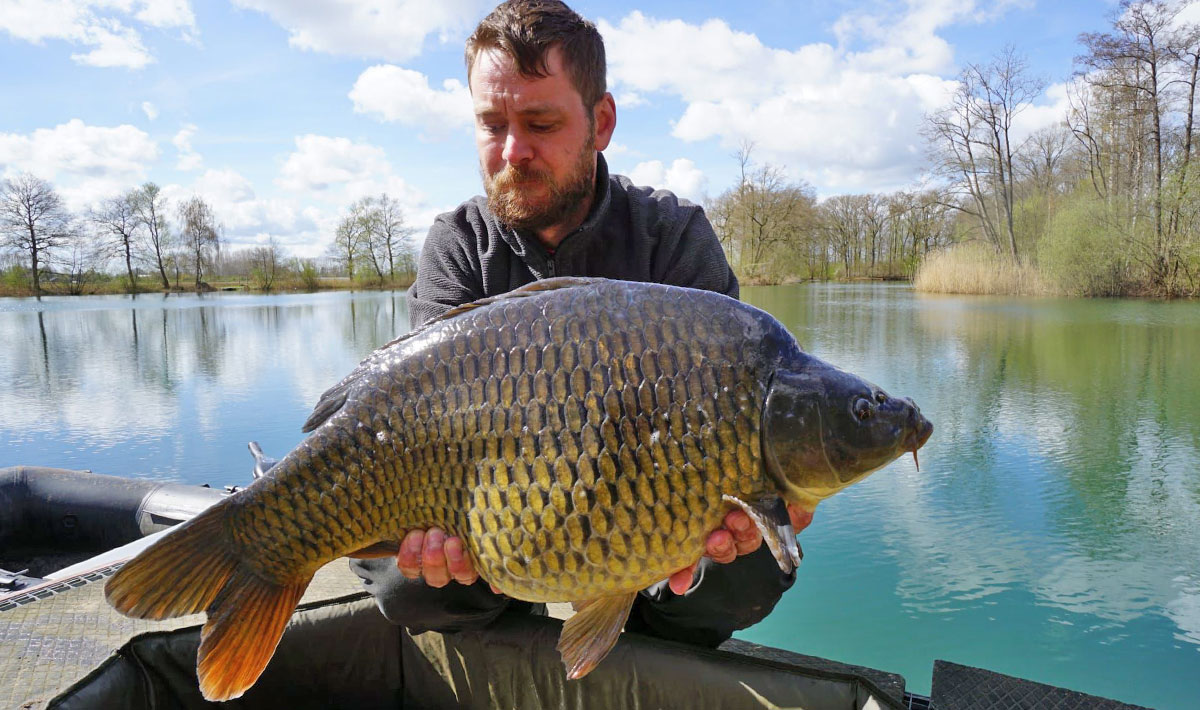 Karpervissen Zevenaar Betaalwater Karperdroom Xxl Karpervissen Zevenaar Karperdroom
