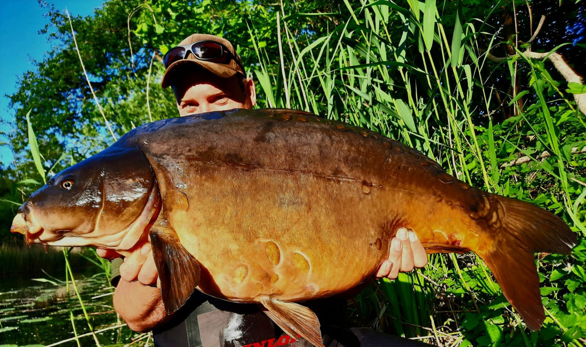Karpervissen Zevenaar Betaalwater Karperdroom Xxl Karpervissen Karperdroom 6