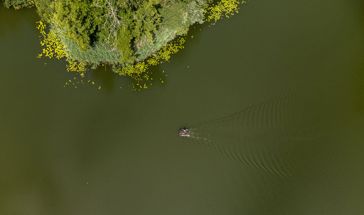 Omgeving Karpervissen Zevenaar Betaalwater Karperdroom Karpervissen Betaalwater Karperdroom