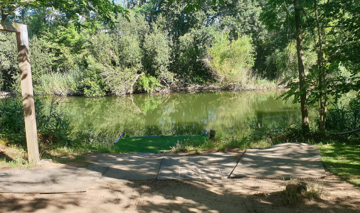 Omgeving Karpervissen Zevenaar Betaalwater Karperdroom Zevenaar Betaalwater Xxl