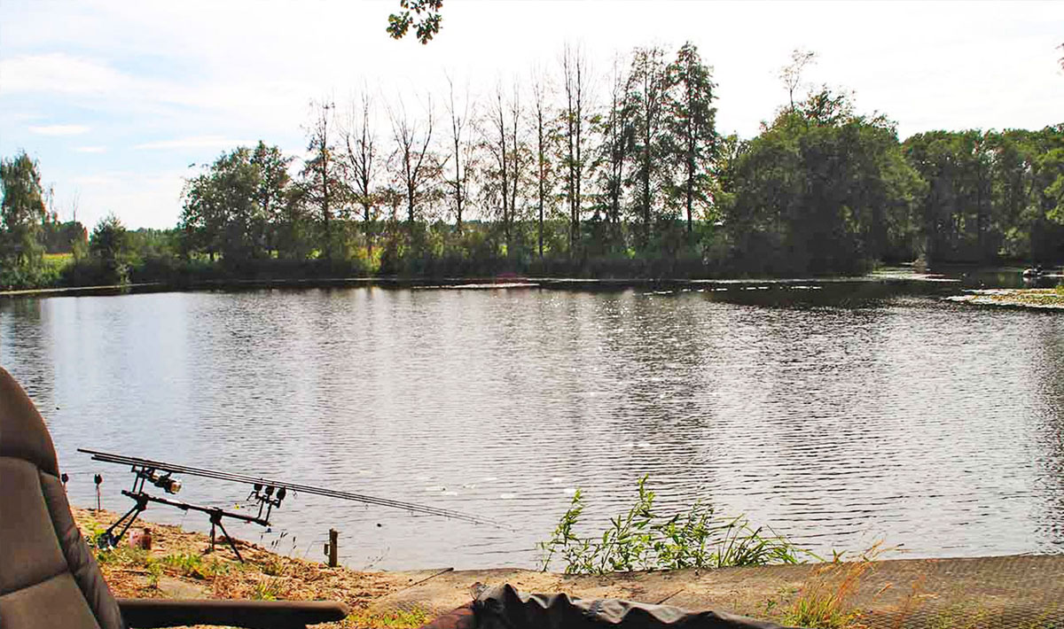 Omgeving Karpervissen Zevenaar Betaalwater Karperdroom Zevenaar Karperdroom 13