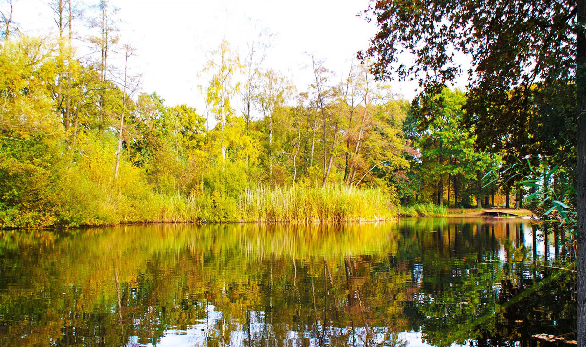 Omgeving Karpervissen Zevenaar Betaalwater Karperdroom Zevenaar Karperdroom Xxl