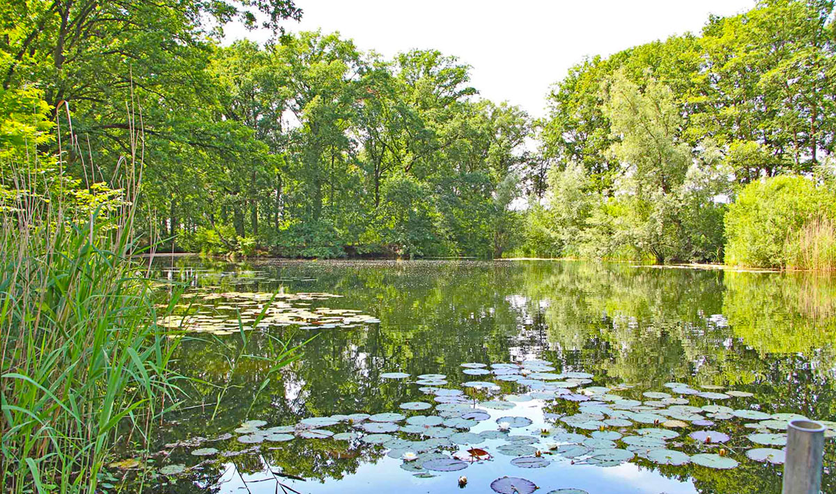 Omgeving Karpervissen Zevenaar Betaalwater Karperdroom Omgeving Zevenaar Betaalwater