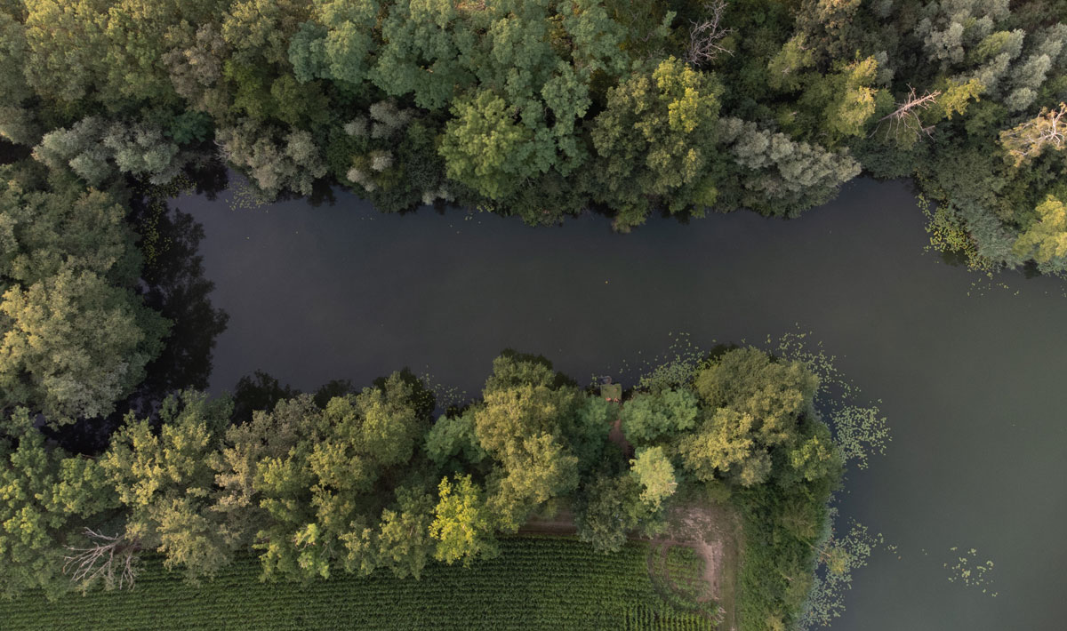 Omgeving Karpervissen Zevenaar Betaalwater Karperdroom Karperdroom Xxl 3