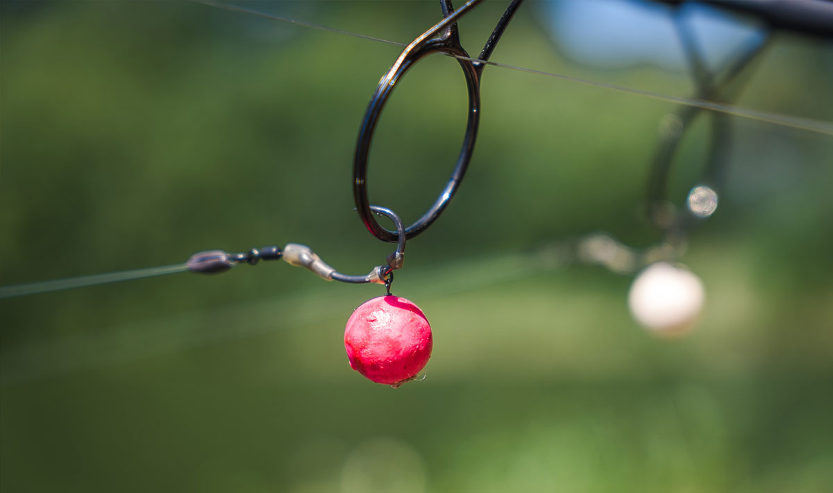 Omgeving Karpervissen Zevenaar Betaalwater Karperdroom Zevenaar Betaalwater 5