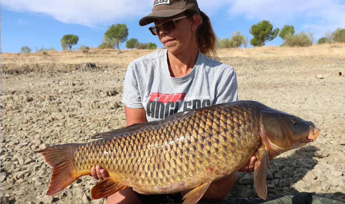 Karper Caravana De La Pesca Pesca Spanje Visvakantie
