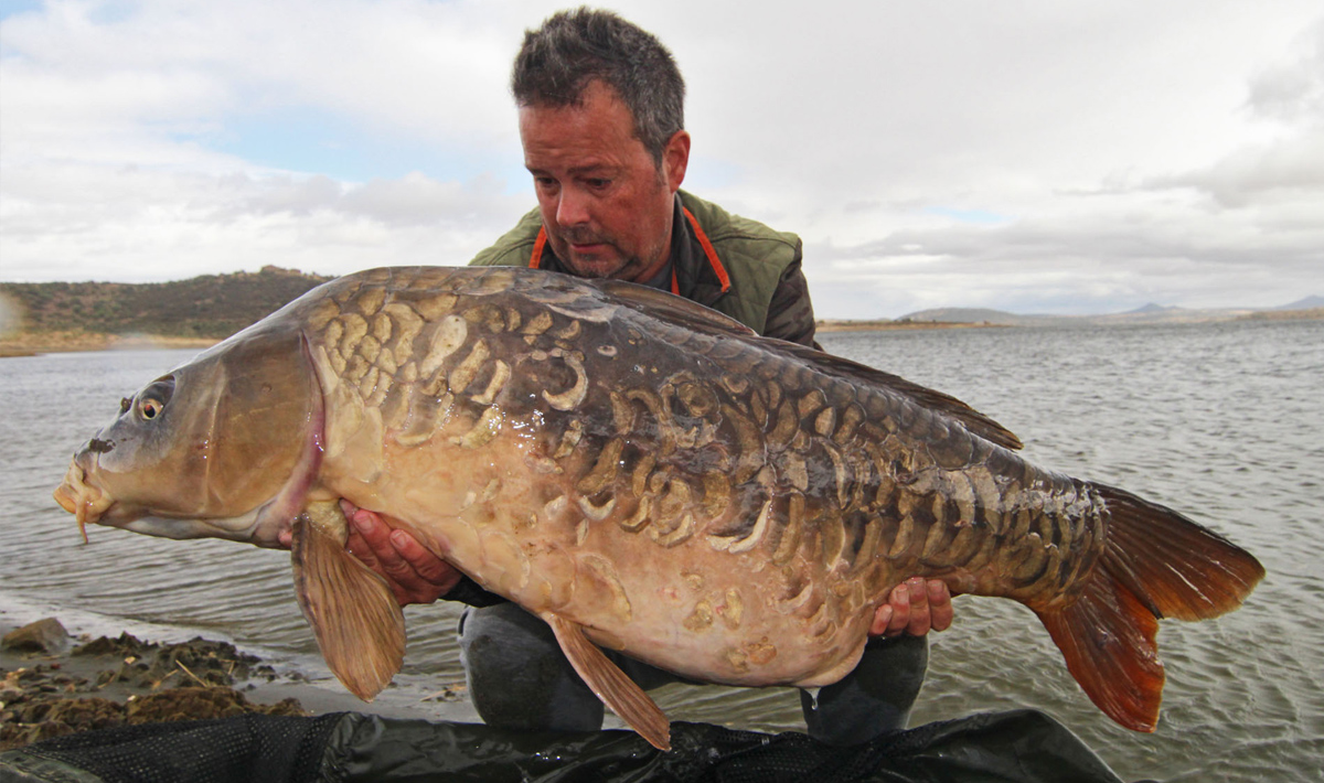 Karper Caravana De La Pesca Karper Pesca 3
