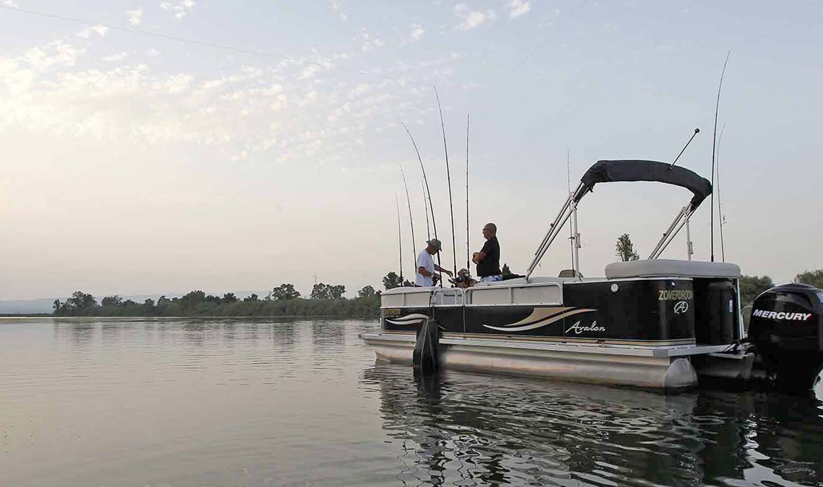 Boot Delta Ebro Meerval Vissen Ebro Vakantie 1