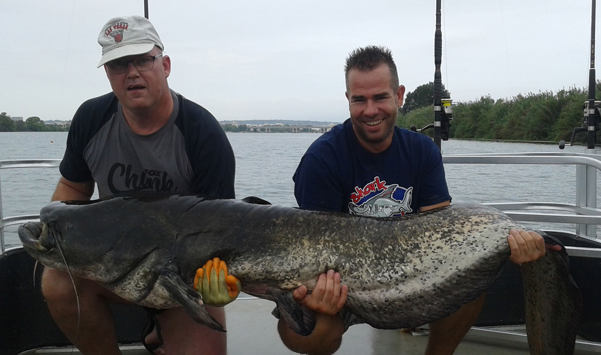 Meerval Delta Ebro Vissen Vakantie Ebro Vakantie Bootvissen