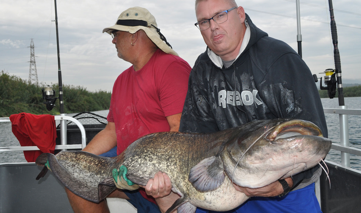 Meerval Delta Ebro Vissen Vakantie Meerval Vakantie Bootvissen