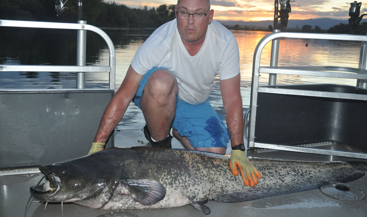 Meerval Delta Ebro Vissen Vakantie Vissen Bootvissen 6