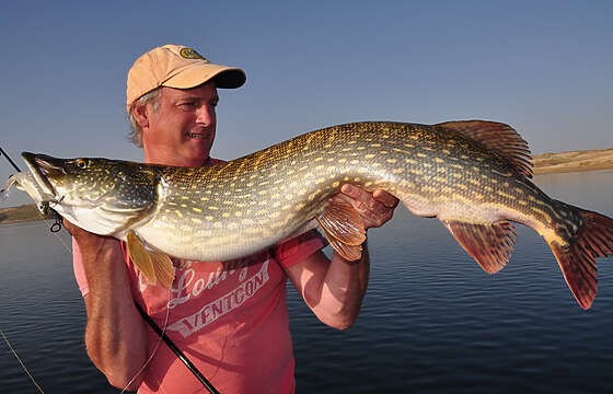 Extremadura Predator