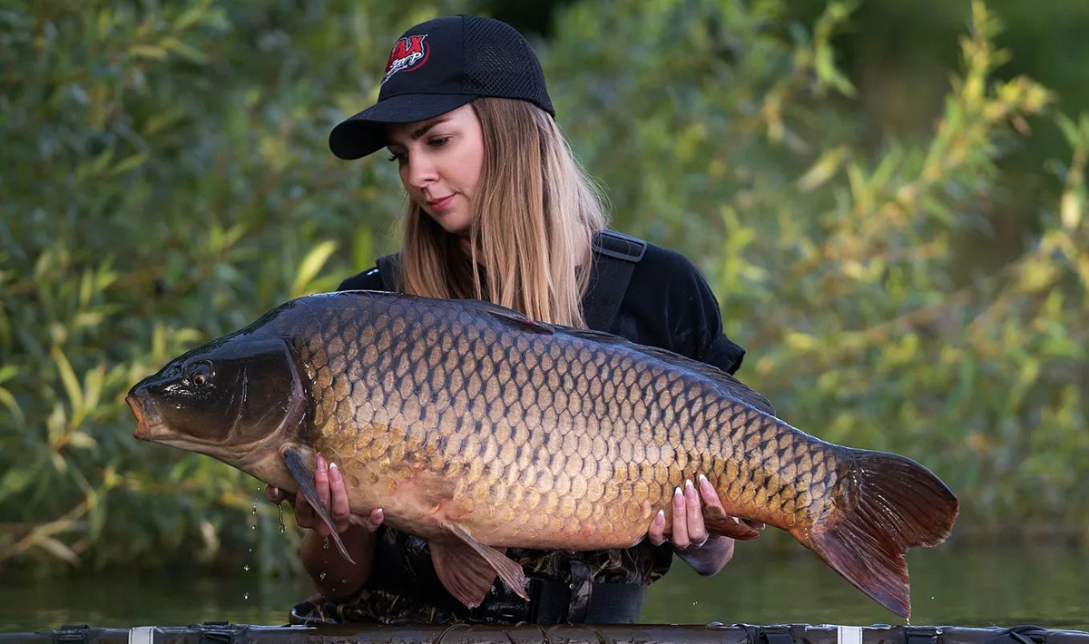 Karpers Medenice Carplake Karpervissen In Karpers Medenice 1