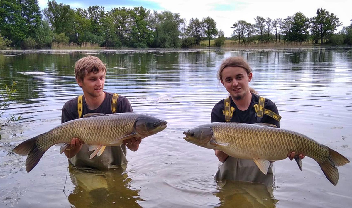 Karpers Medenice Carplake Karpervissen In Karpers Karpervissen In