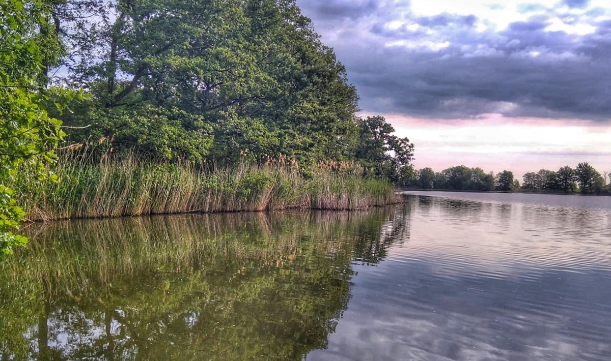 Sfeer Medenice Carplake Karpervissen In Sfeer Medenice In