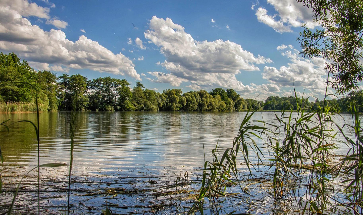 Sfeer Medenice Carplake Karpervissen In Karpervissen In 3