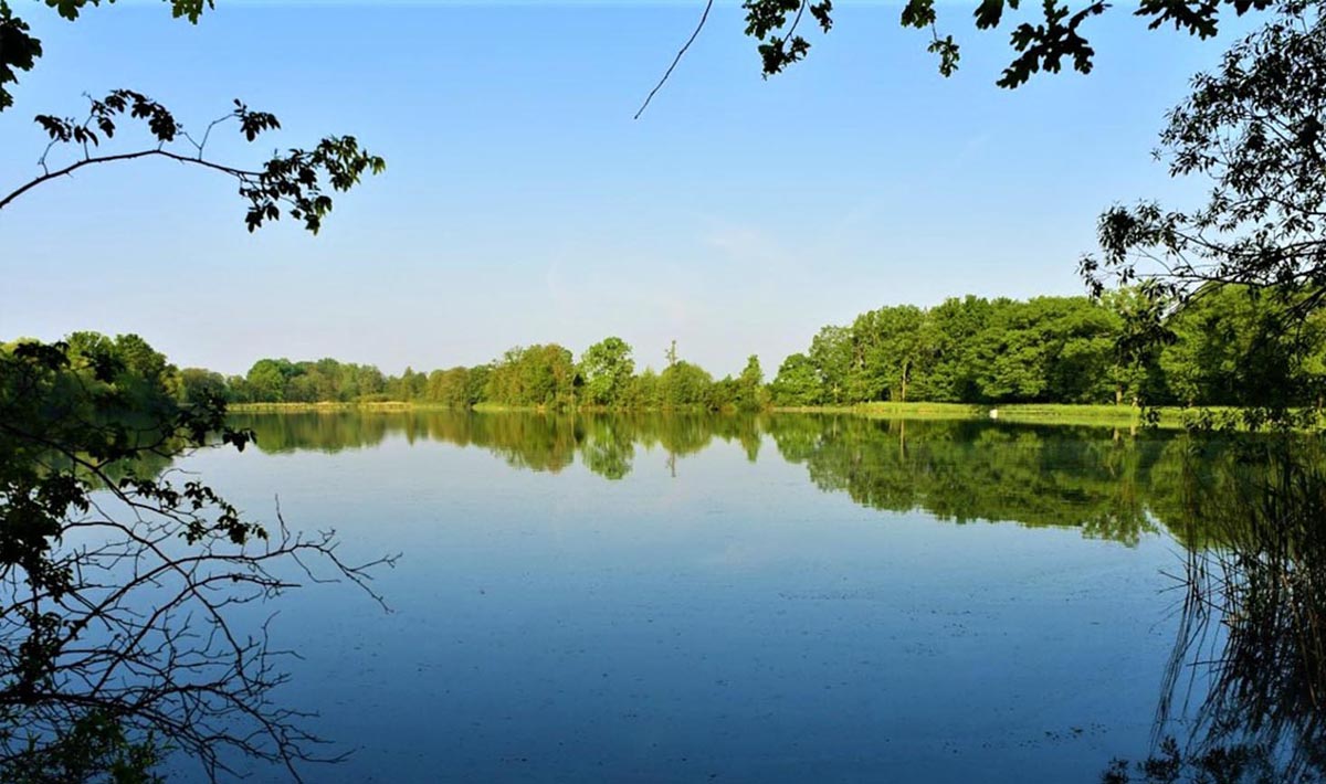 Sfeer Medenice Carplake Karpervissen In Medenice Karpervissen 5