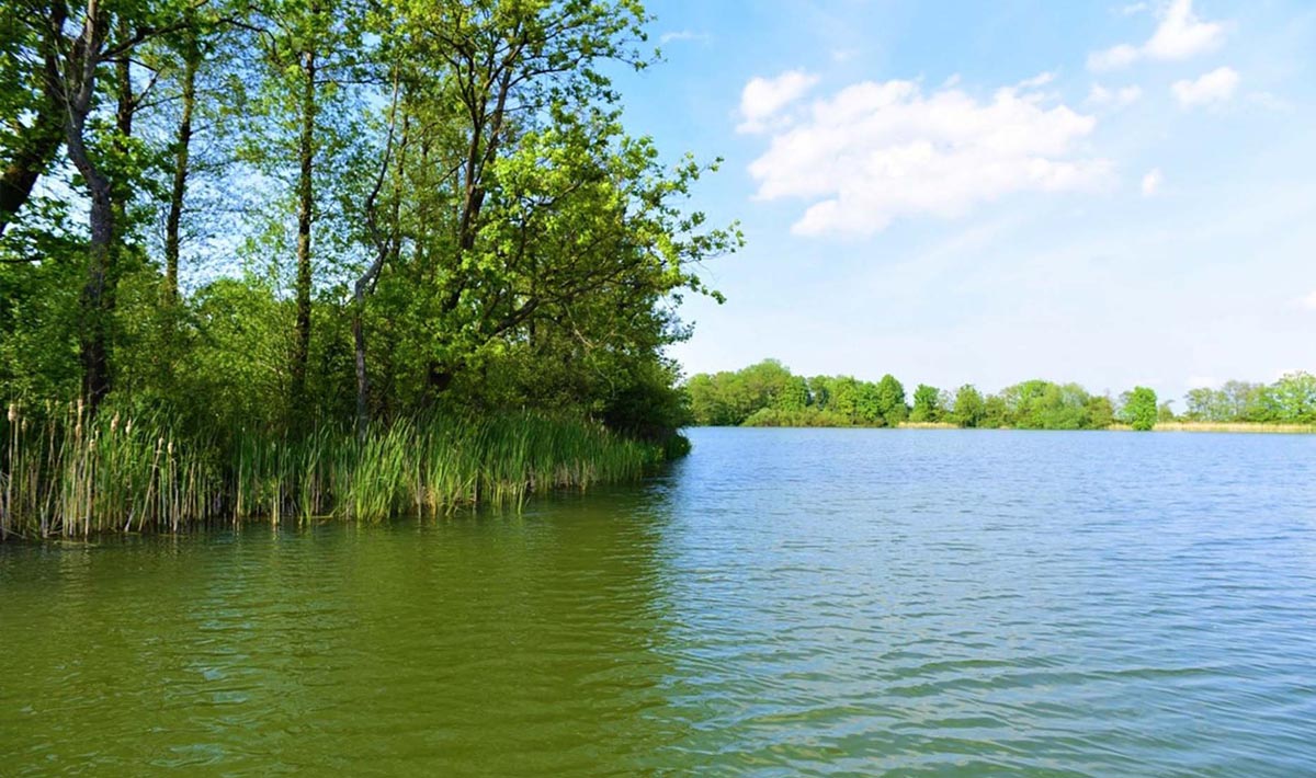 Sfeer Medenice Carplake Karpervissen In Medenice Karpervissen Tsjechie