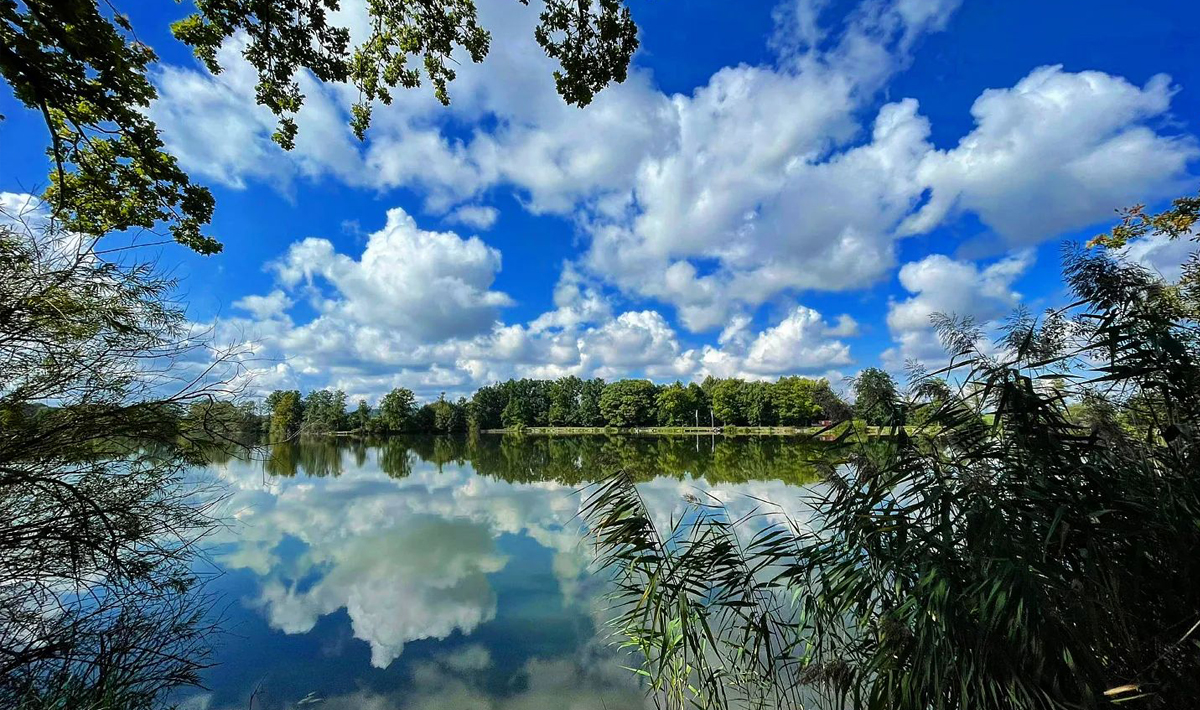 Sfeer Medenice Carplake Karpervissen In Carplake Tsjechie 7