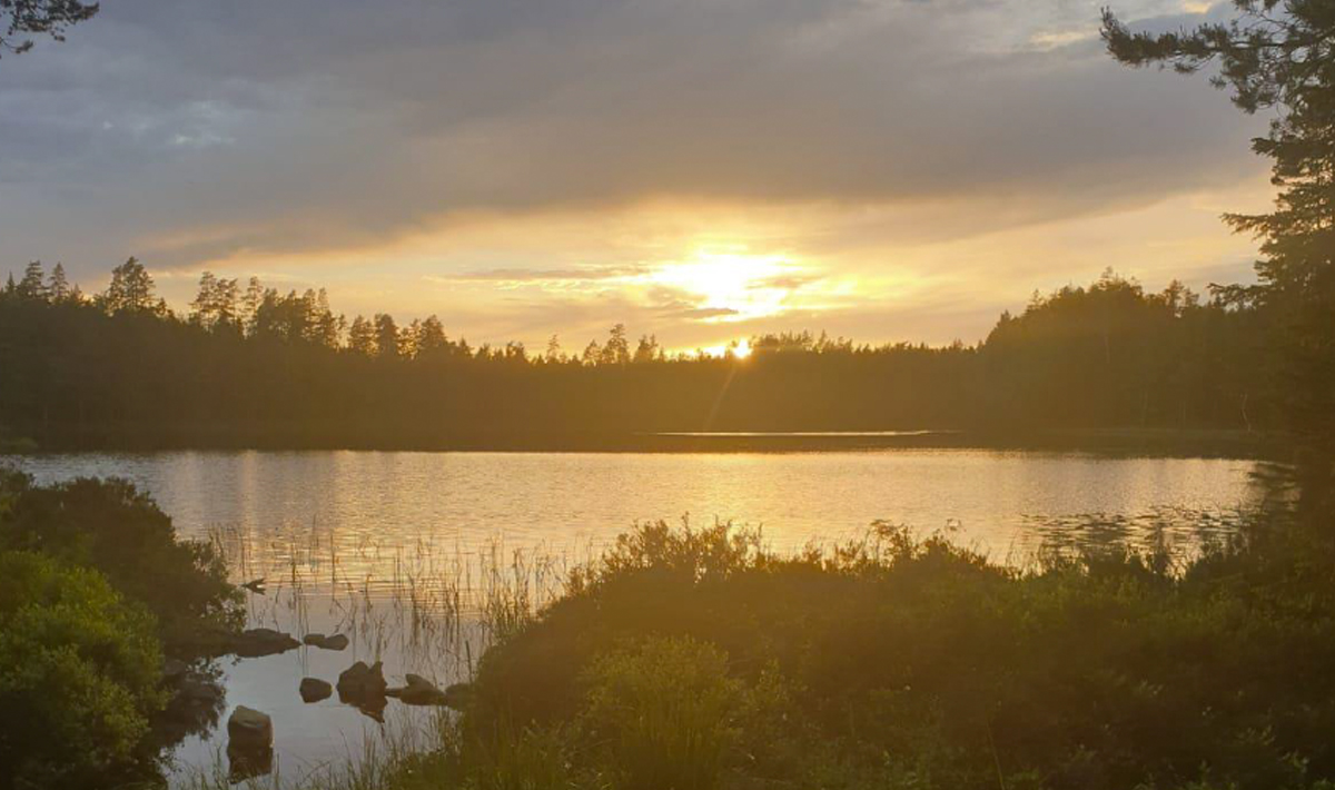 Sfeer Roofvissen Zweden Varmland 2 Sfeer Zweden 2