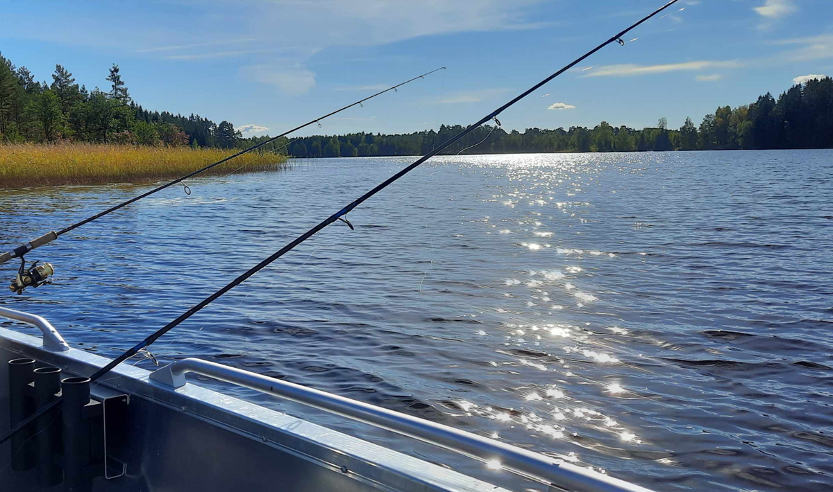 Sfeer Roofvissen Zweden Varmland 3 Sfeer Roofvissen Varmland