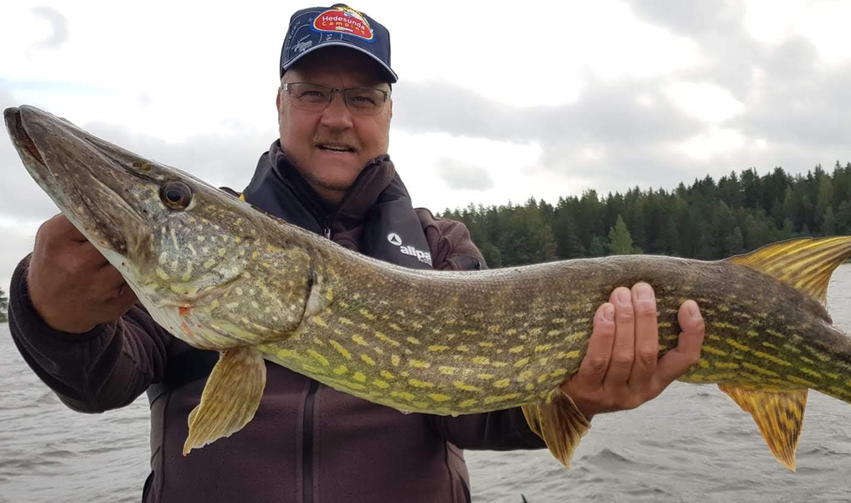 Snoek Roofvissen Zweden Varmland 3 Roofvissen Varmland 3